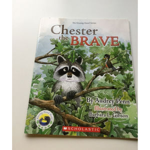 Chester The Brave Paperback Book